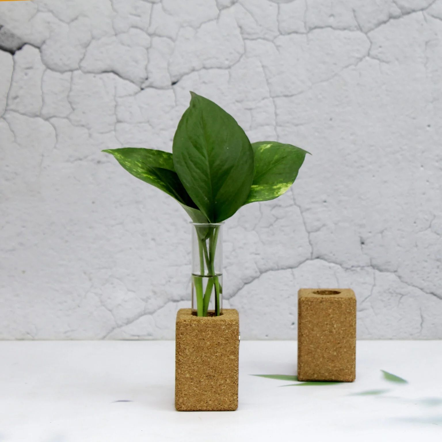 The Mohraj Cork Fridge Planter