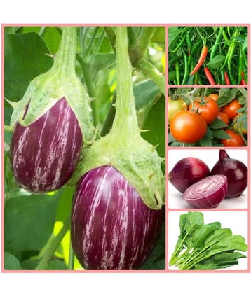 Vegetable Seeds combo for Kitchen Garden - 100+ Seeds | Easy to Grow with Instruction Manual