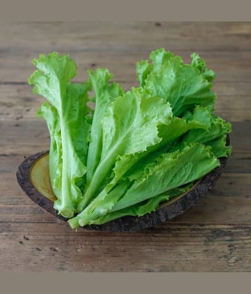 Vegetable Seeds Organic Lettuce Seeds For Gardening Seeds - Lettuce Green ​Seeds Seeds For Gardening Home Garden Seeds