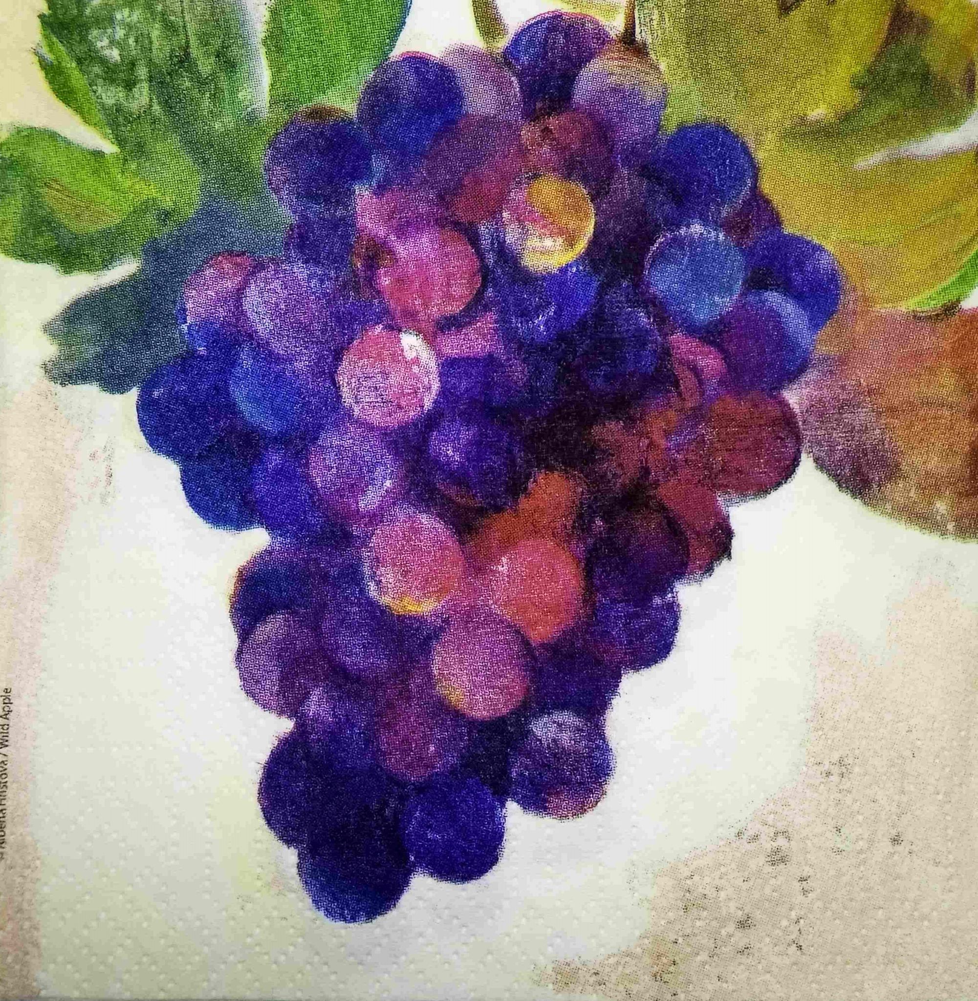 Decoupage Napkin / Tissue papers - 25cm*25cm - GT3247