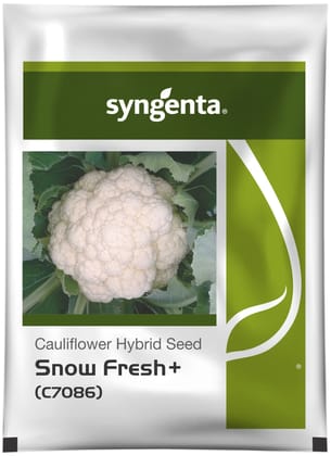 SNOW FRESH+