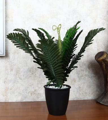Foliyaj Artificial Plant with Plastic Pot for Home Decor | Decoration Items for Living Room | Decorative Table Top Indoor Plants Bonsai for Office Desks & Counters (Fern in Black Pot)