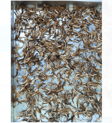 Vazhaipoo Idli Milagai Podi 100 Gms