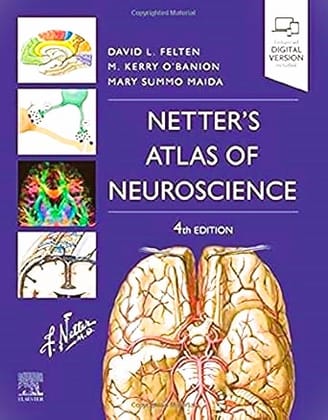 Netter's Atlas of Neuroscience:  4ed 