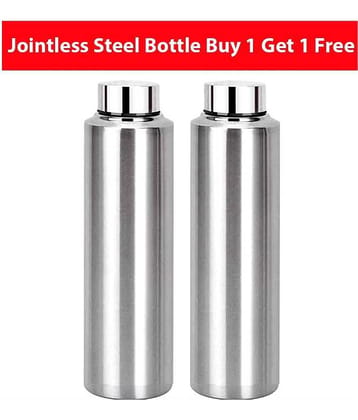AKG Water Silver 600 mL Steel Fridge Bottle set of 2