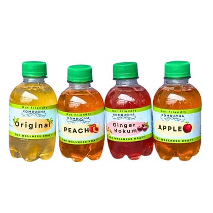 The Wellness Kraft Kombucha | Natural Gut Friendly Tea | Detox & Wellness Drink | Fermented, All Natural, Gut Healthy Drink | 200 ML (Pack of 4) (Variety Pack)