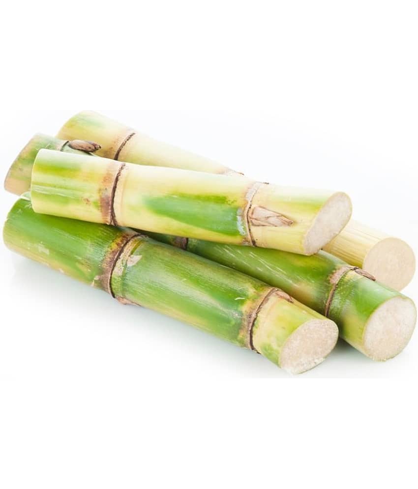 Ekgaon Jaggery 450 g