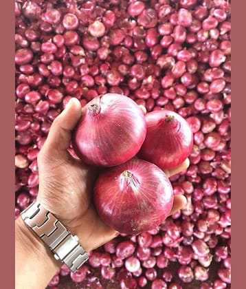LiveNature Organic Red Onion Vegetable ( 1000 Seeds )