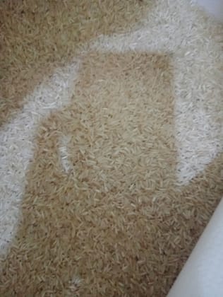 Dehraduni basmati rice 