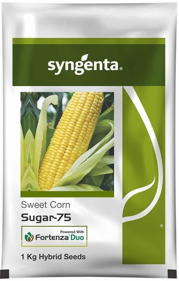 SUGAR 75