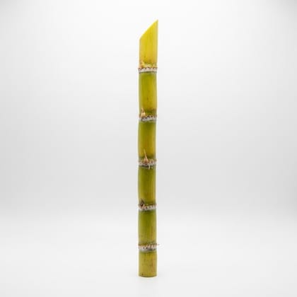 Fresh Sugar Cane - 1 Piece by Prosopyaaree