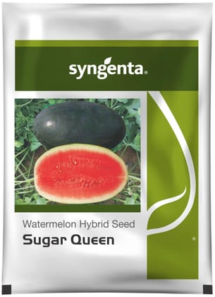 SUGAR QUEEN