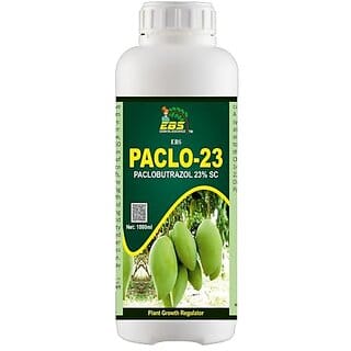 EBS PACLO-23 PACLOBUTRAZOLE 23 SC (1 Litre)  Fertilizer For Mango Tree Plant Growth Regulator Mango  Helps In Plant Growth And Development Specially For Aam