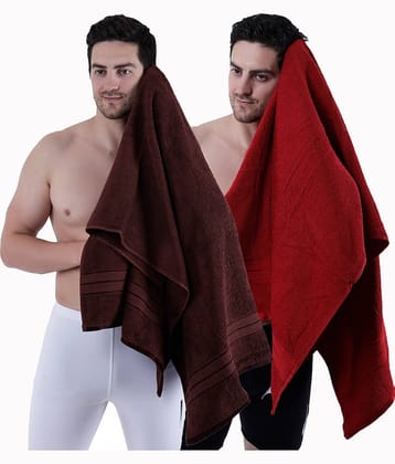 Dollar Cotton Striped 500 -GSM Bath Towel ( Pack of 2 ) - Multicolor
