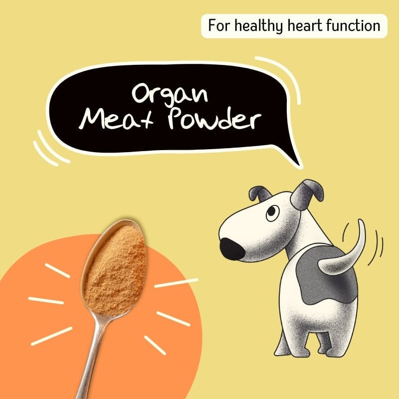 Organ Meat Powder-100 gm / One Time