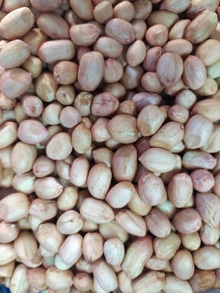 peanut 