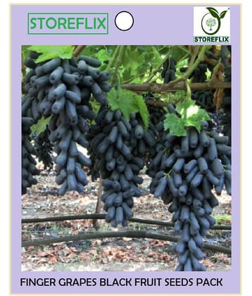 STOREFLIX - Black Grape Fruit ( 50 Seeds )