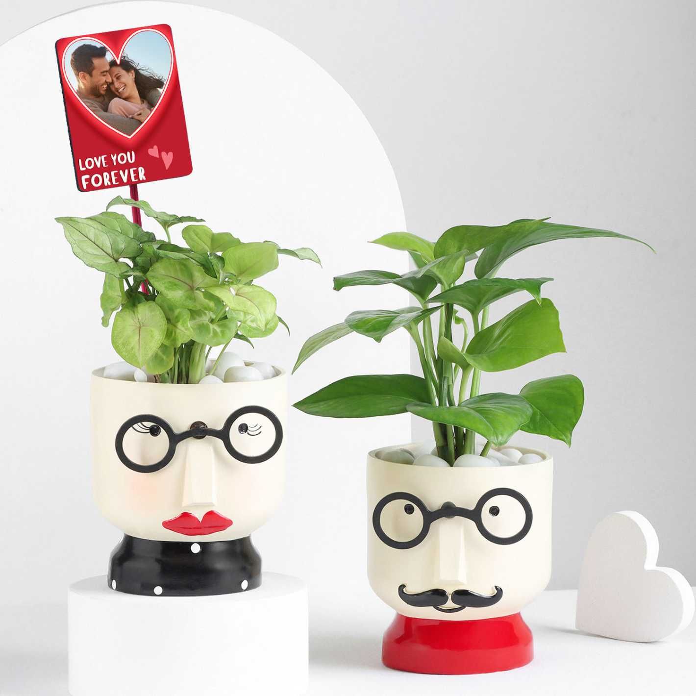 FNP Money Plant & Syngonium Set - Plants in Resin Pot - Personalised Photo Magnet - Romantic Valentine Gift