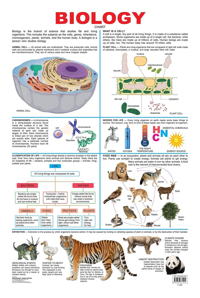 Biology [Wall Chart] Dreamland Publications - Stationery | Buy online on ZillyBuy