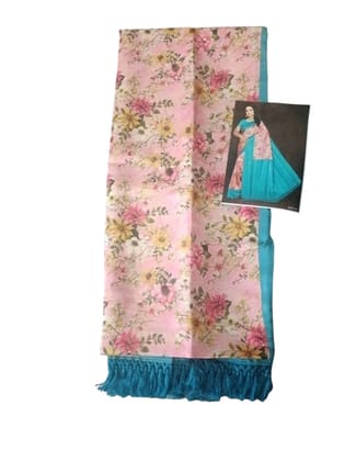 Exquisite Fancy Saree