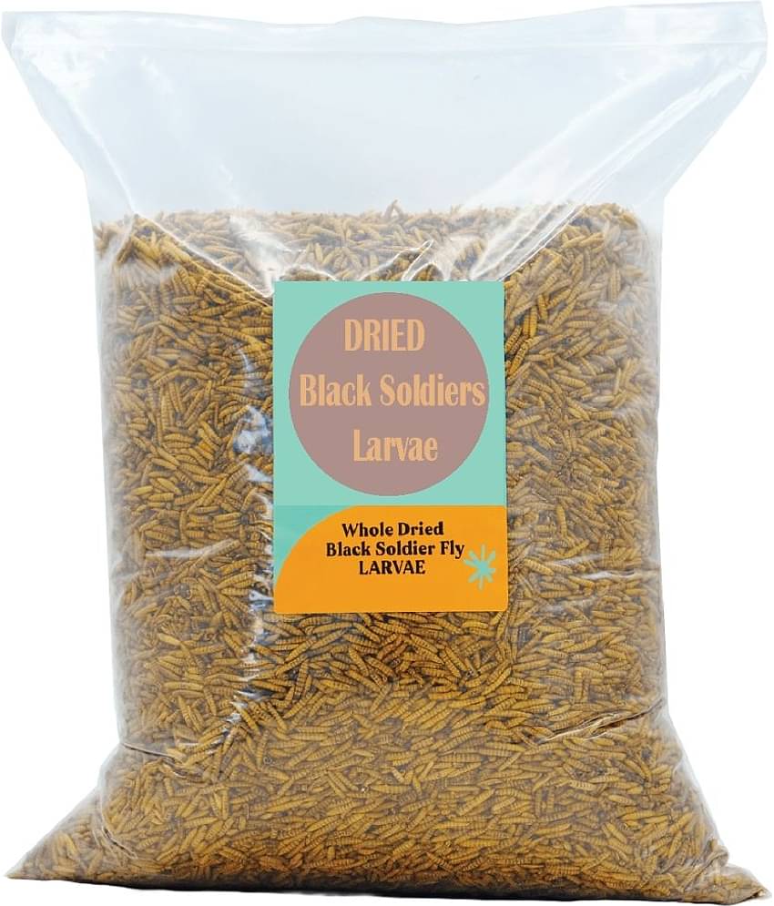 Whole Dried Black Soldier Fly Larvae - Protein Rich Fish Food for Arowana, Flower Horn, Oscar, Fighter, Angelfish, Molly, Koi, Cichlids, Tetra, Discus, Nutrient-Rich Feed for Fish and Turtle 40% High Protein and 50x More Calcium