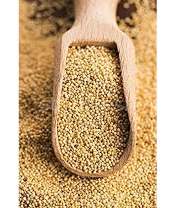 MYGODGIFT Poppy Seed Gold / Khus Khus/White Poppy Seeds / Poppy Seeds for Eating 50 gm