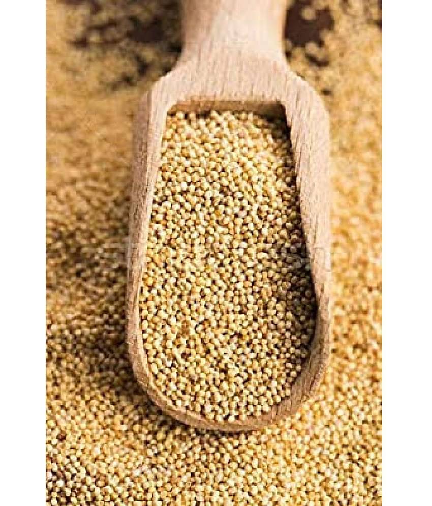 MYGODGIFT Poppy Seed Gold / Khus Khus/White Poppy Seeds / Poppy Seeds for Eating 50 gm