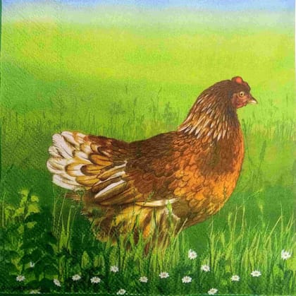 Decoupage Napkin / Tissue papers - GT2860