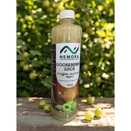 GOOSEBERRY JUICE - 500 mL - 500 mL - One bottle of juice