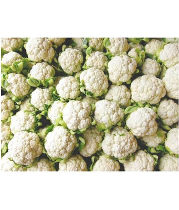 Rare Cauliflower Seeds Pack for Indoor Garden