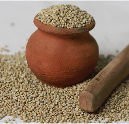 Kambu / Pearl Millet 500 gm Kambu / Pearl Millet 500 gm
