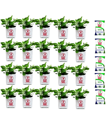 Grow bag for home gardening High Quality 150 Micron/600 Gauge | Pack of 20 Bags; Size: 30 x 16 x 16 cm with 5 veg seeds