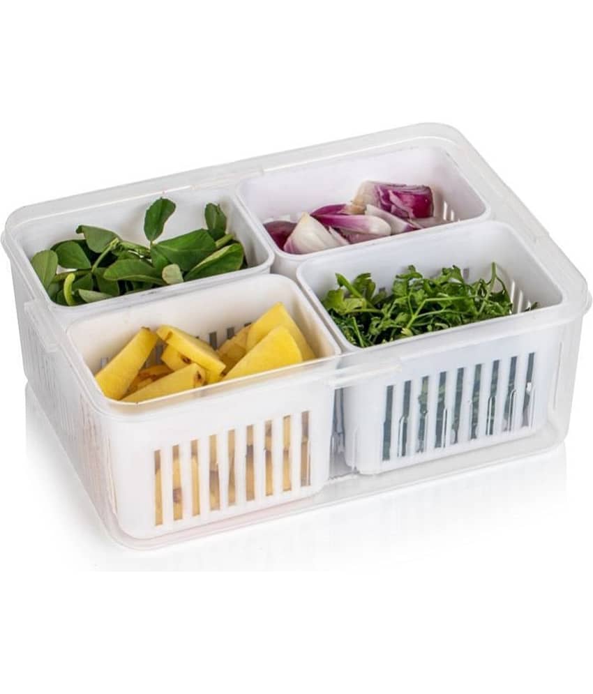 Analog Kitchenware Fruit AND Vegetable Plastic White Food Container ( Set of 1 )