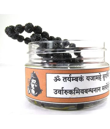 NIVARAN - 5 Mukhi Mala ( Pack of 1 )