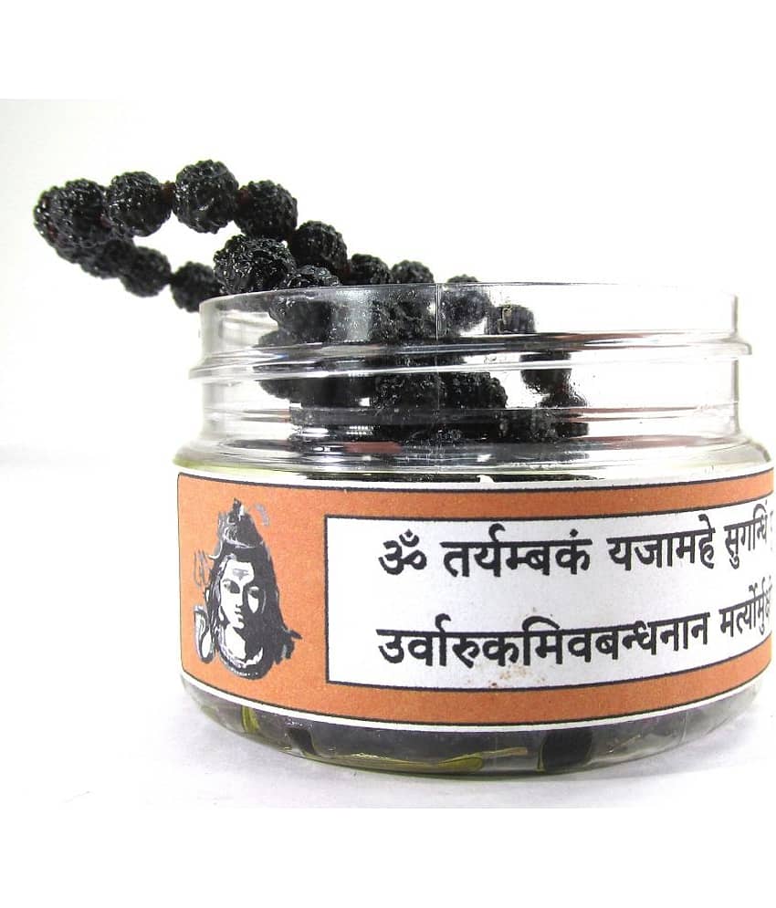 NIVARAN - 5 Mukhi Mala ( Pack of 1 )