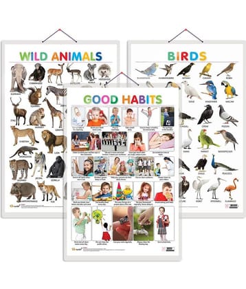 Set of 3 Wild Animals, Birds and Good Habits Early Learning Educational Charts for Kids | 20"X30" inch |Non-Tearable and Waterproof | Double Sided Laminated | Perfect for Homeschooling, Kindergarten and Nursery Students