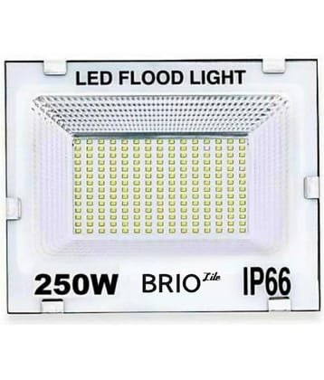 ZESTRUM Cool Day Light 250 Watts Flood Light ( Pack of 1 )