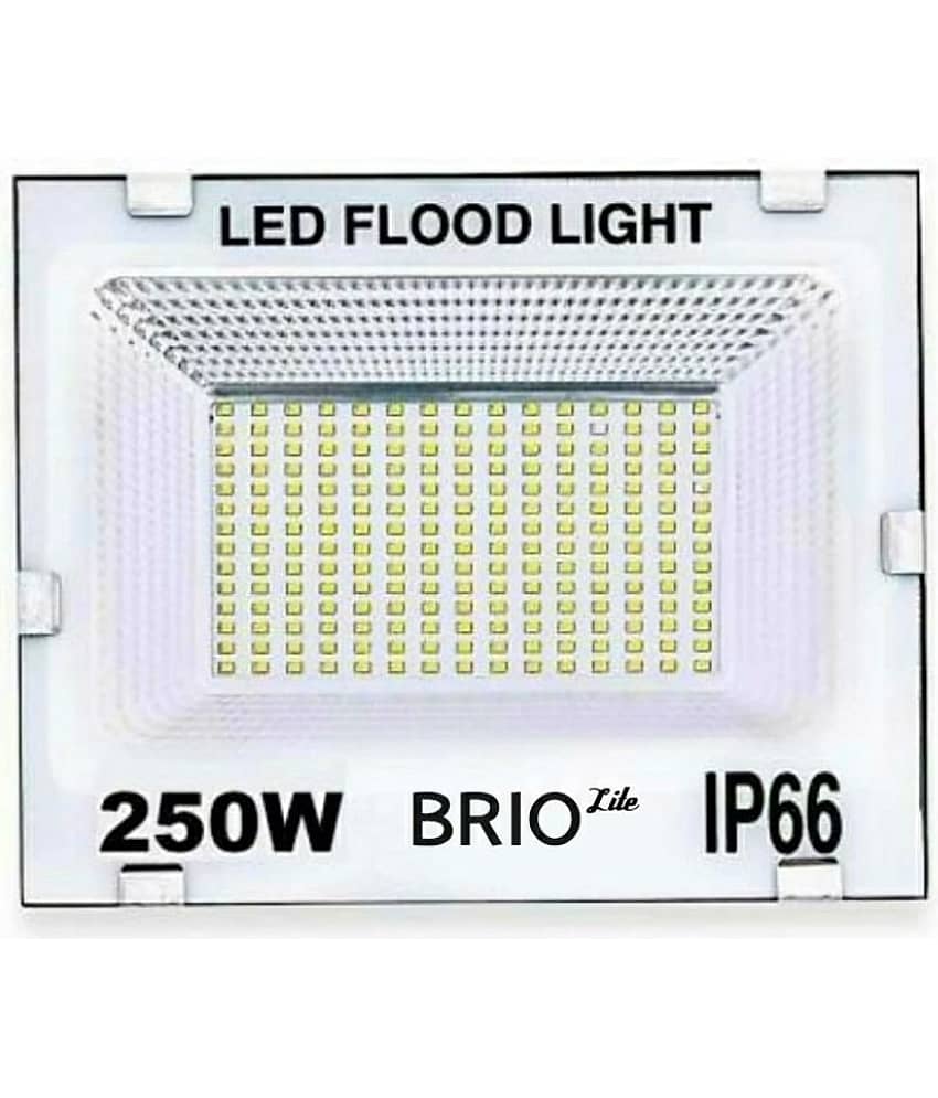 ZESTRUM Cool Day Light 250 Watts Flood Light ( Pack of 1 )