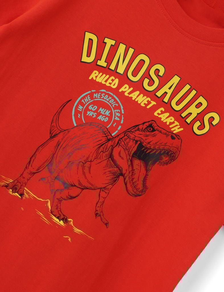 Affordable Kids Boys T shirt Cotton Fiery Red Dinosaurs 2025 at ShopCircuit | ONDC
