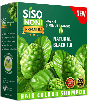 Siso Premium Noni Black Hair Colour Shampoo 20G each , Pack of 6
