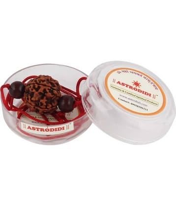 6 Mukhi Rudraksh With Red Chandan Beads