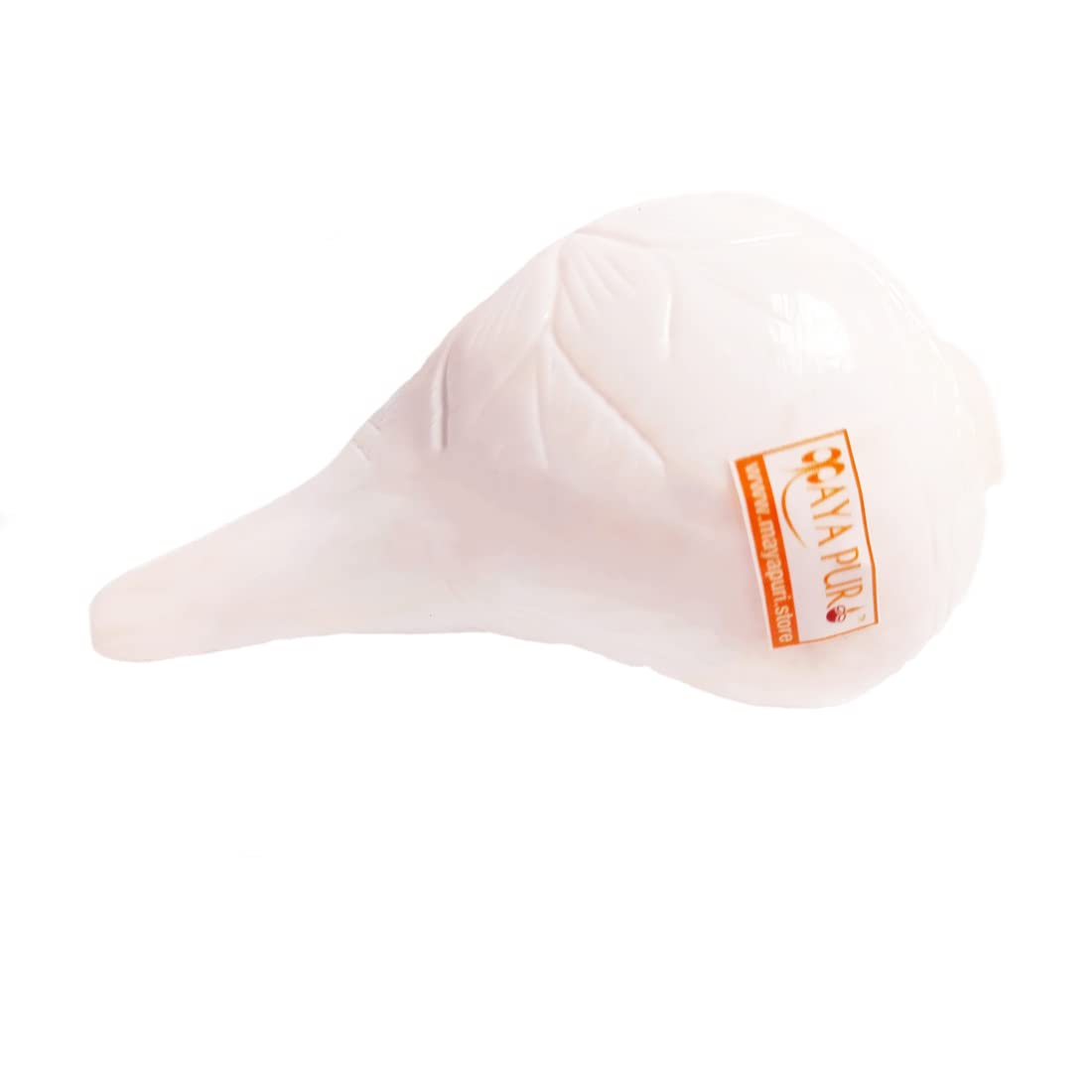 MAYAPURI Original Loud Blowing Shankh for Puja | Shankha for Pooja, Size: Approx. 5 inches (Small)