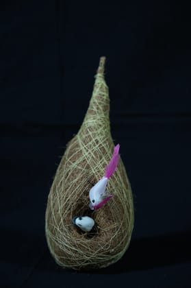 Coir Baaya Basha Birdhouse