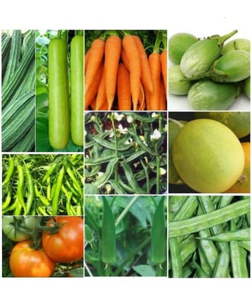 10 VEG COMBO (10-10 SEEDS OF EACH 1) TOTAL 10 SEEDS PACK WITH MANUAL
