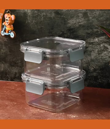 purple dust Food Container Plastic Transparent Multi-Purpose Container ( Set of 2 )