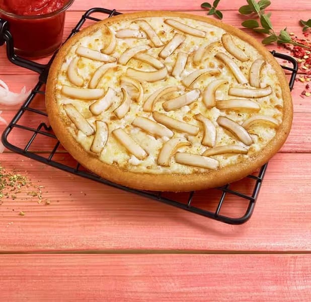 Onion cheese pizza