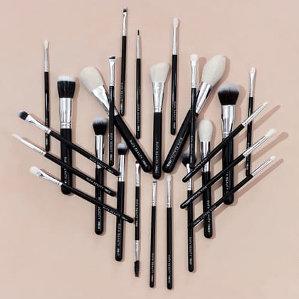 Pro Makeup Brushes - 25 Face + Eye brushes