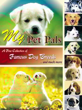 My Pet Pals [Paperback] [Jan 01, 2010] Anjani A. Gupta