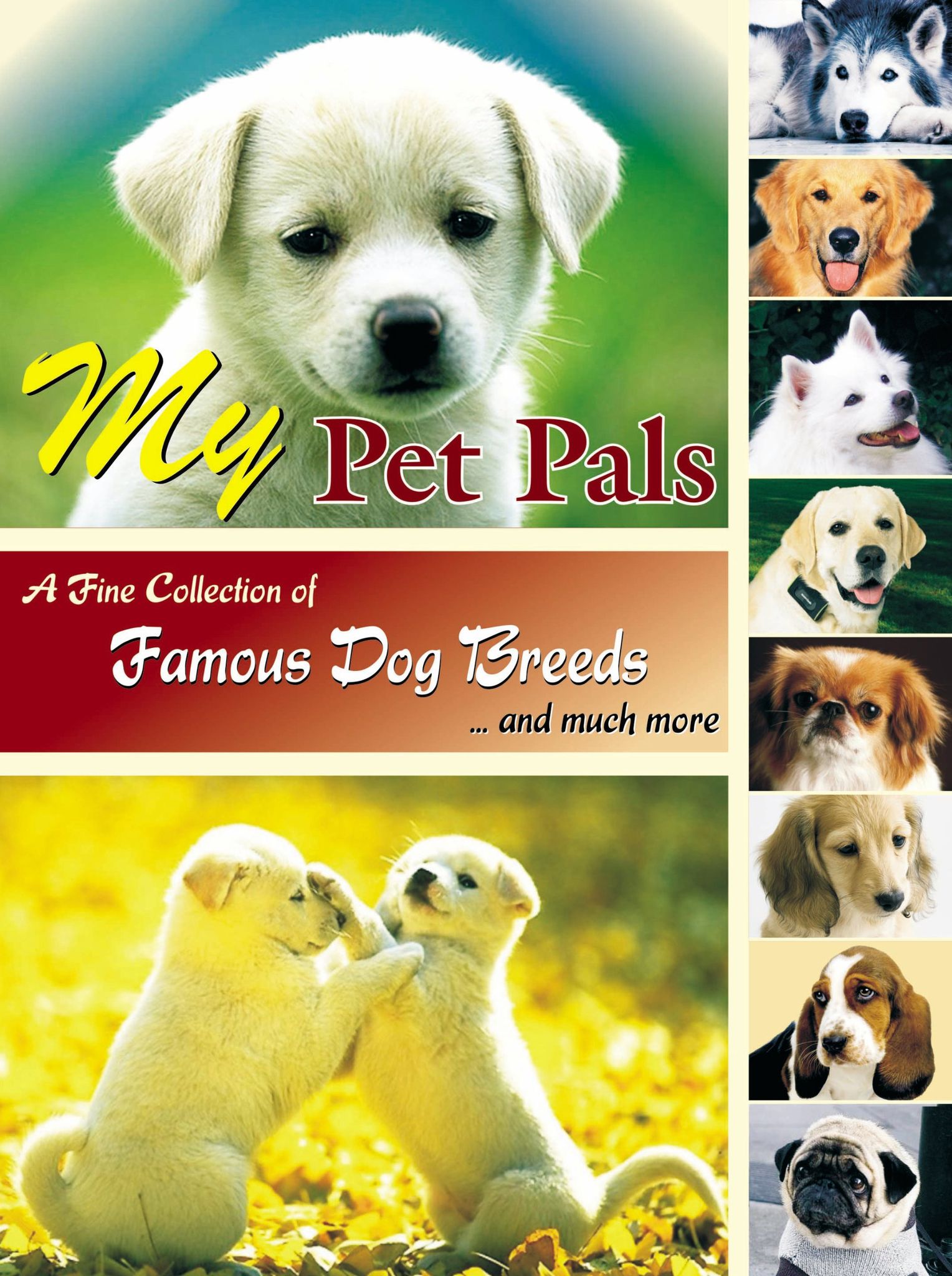 My Pet Pals [Paperback] [Jan 01, 2010] Anjani A. Gupta