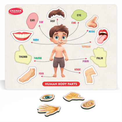 Wooden Human Body Parts Puzzle